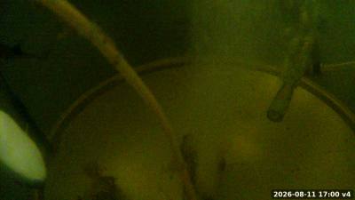 17:00