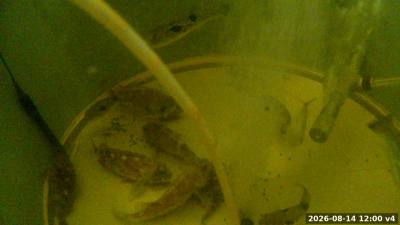 12:00