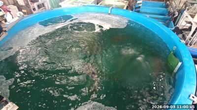 11:00